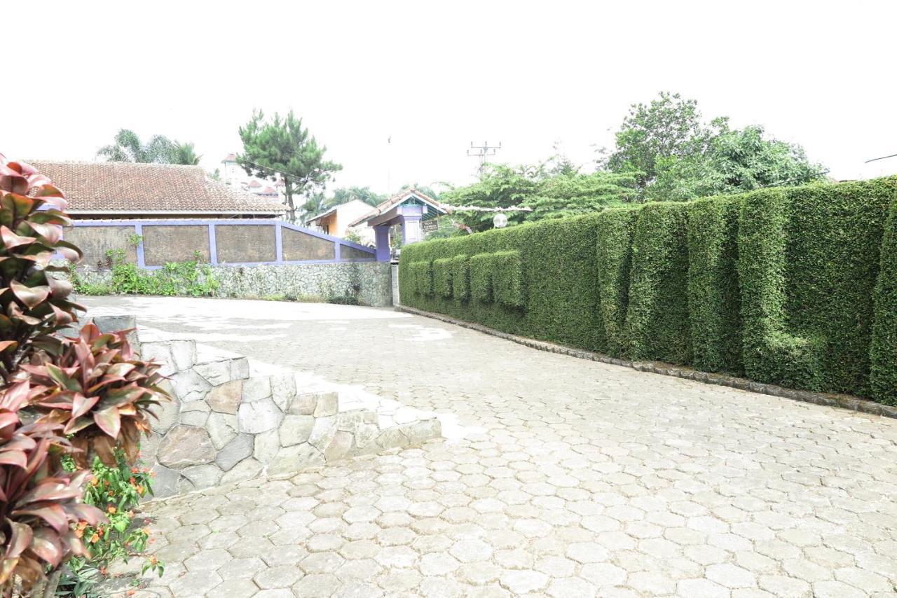 Villa Tiandiva 希萨鲁阿 外观 照片
